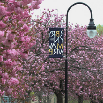 Cherry Blossoms Bryn Mawr Flag